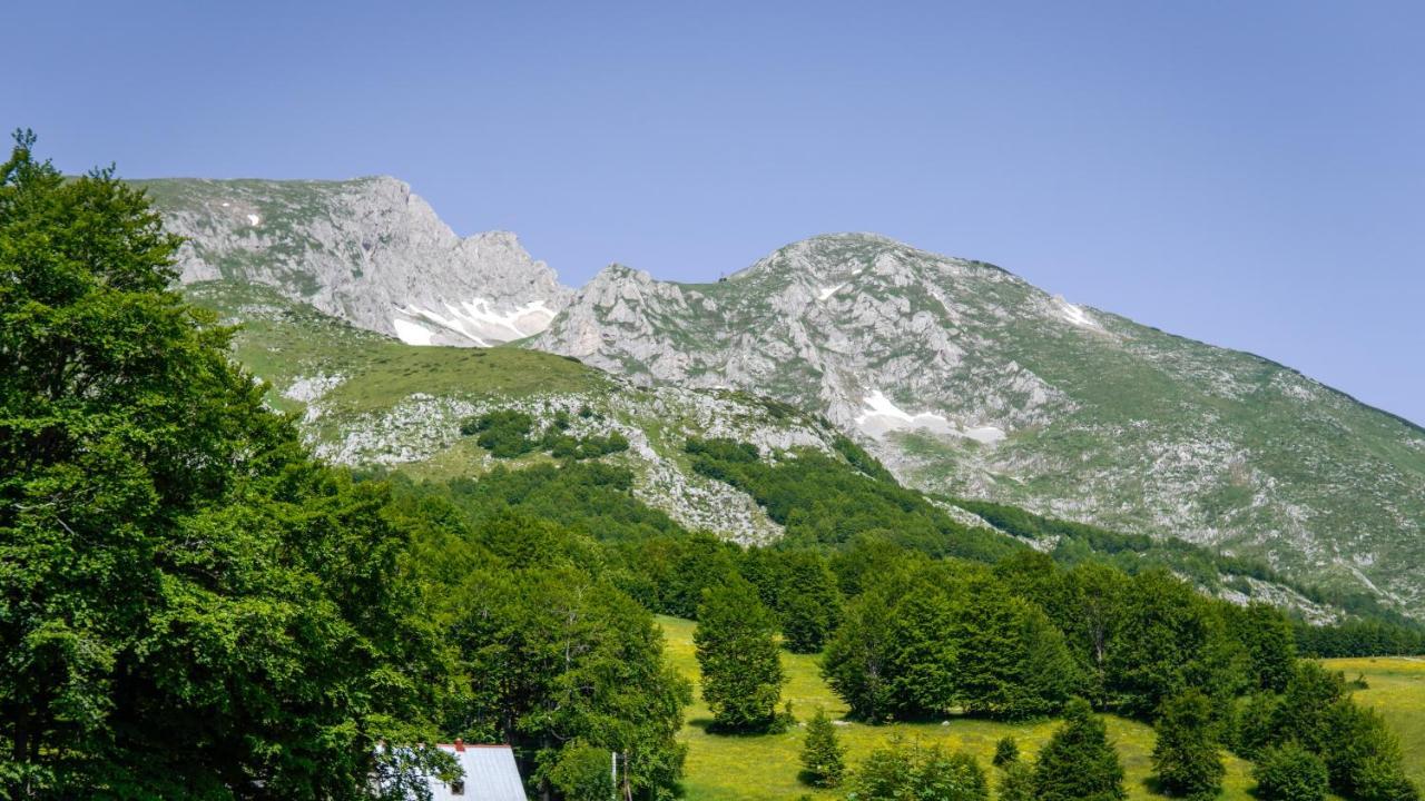 자블야크 Mountain House Drveni Raj 빌라 외부 사진
